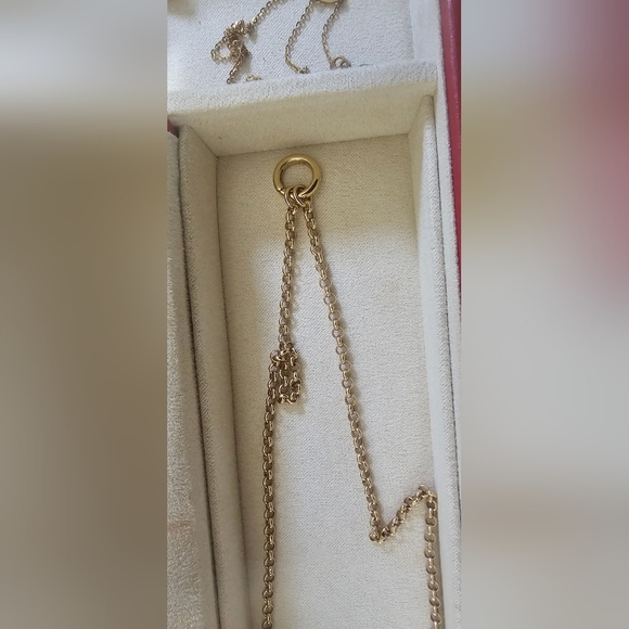 Rolo Chain Charm Necklace (20inches) - Picture 5 of 10